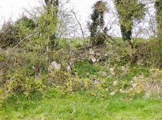 ballymorisheen mass rock remains