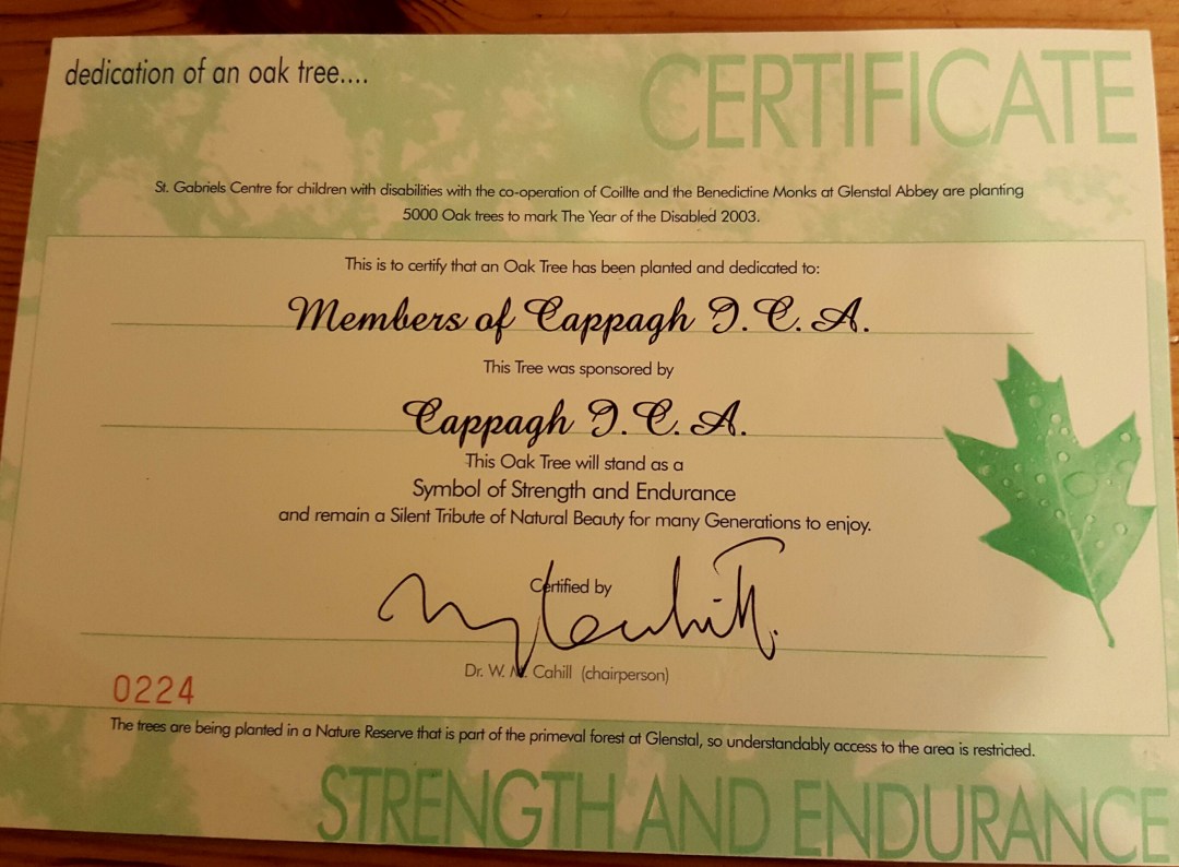 oak-tree-st-gabriels